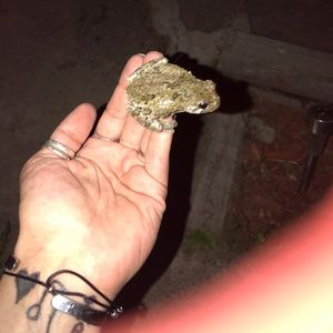 Meet your Posher, Heather